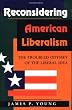 Reconsidering American Liberalism: The Troubled Odyssey of the Liberal Idea