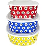 Le Cadeaux Fleur de Provence Red Melamine Dinnerware, Container Set