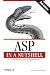 ASP in a Nutshell, 2nd Edition-visli Cheap Deals