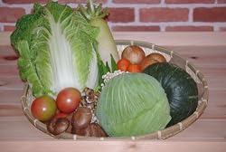 【送料無料】高知の旬の野菜詰め合わせセット!!【13品目】