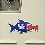 Kentucky Wildcats Small Rival Fish Magnet