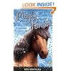 Magic Ponies: Winter Wonderland