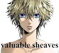 「valuable sheaves」