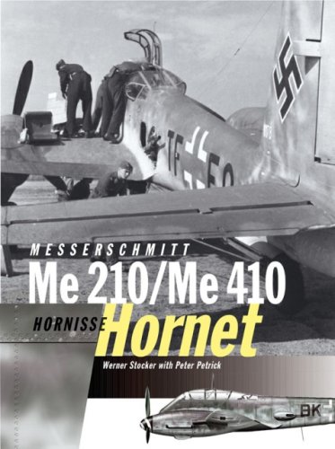 Hornisse