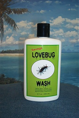 Love Bug Wash