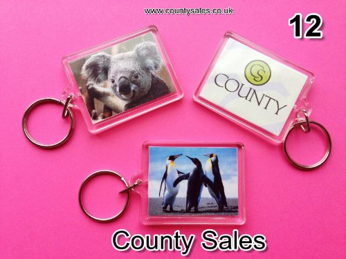 Pack of 12 Perspex Photo Holder Keyrings