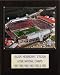 NCAA Football Vaught-Hemingway Stadium Stadium Plaque