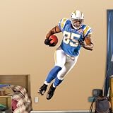 AFL Antonio Gates Vinyl Wall Graphic Decal Sticker Poster