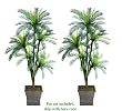 TWO 6' Cycas Palm Artificial Trees with 5 Heads _Plastic Fronds