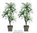 TWO 6' Cycas Palm Artificial Trees with 5 Heads _plastic Fronds, with No Pot