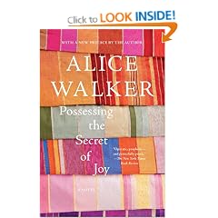 Possessing the Secret of Joy: A Novel