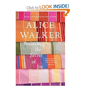 Possessing the Secret of Joy: A Novel