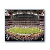 NFL Houston Texans Stadium 22x28 Canvas Art