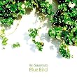 BLUE BIRD
