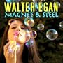 Magnet & Steel