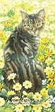 Ivory Cats 2012 Slim Diary