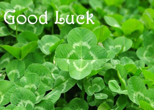 Four Leaf Clover. This Irish made Good Luck greeting card has been left blank for your own personal 'Good Luck' message