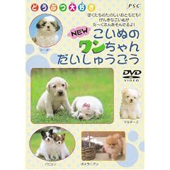 NEW�����ʂ̃�������񂾂����イ���� [DVD]