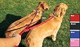 Two-Dog Nylon Walking System 5/8