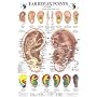 Ear Reflex Points Chart (Chinese Edition)