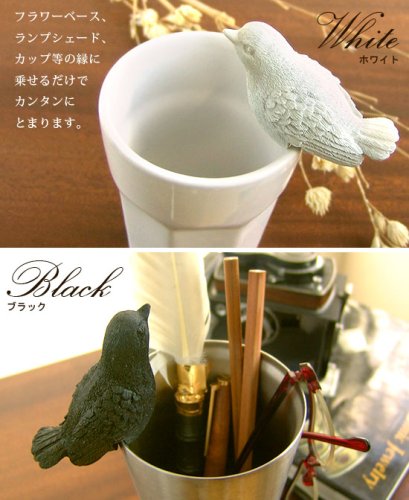 Cover image : 【L.F.S.＆Floyd】 BIRD LAND ブラック