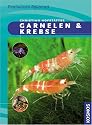 Garnelen & Krebse