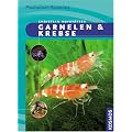 Garnelen & Krebse