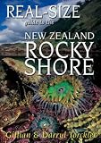 Real-size Guide to the NZ Rocky Shore