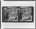 ABC in Spanish - flowers, birds, and little folks at a primary school - Jalapa, Mexic...