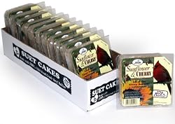 Heath Outdoor Products DD-16 Sunflower/Cherry Suet Cake, Case of 12