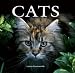 Cats (Flexi cover series)