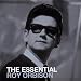 The Essential Roy Orbison (Coffret 2 CD)
