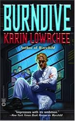 Burndive