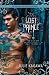 The Lost Prince (Iron Fey (Quality))