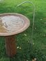 Bird's Choice Stainless Steel Pedestal Dripper