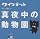 NHK ���ïĢ�^�钆�̓������