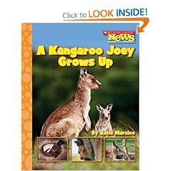 A Kangaroo Joey Grows Up (Scholastic News Nonfiction Readers: Life Cycles)