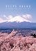 At Mount Fuji Jazz Festival [DVD]