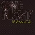 One Night With Kosheen DJ'S
