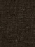 Robert Allen RA Botkier - Raisin Fabric