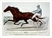 Historic Print (L): Champion trotting Queen, Alix, by patronage record, 2:07 3/4: Winner of the Columbian Ex