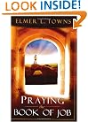 Praying the Book of Job (Praying the Scriptures (Destiny Images))