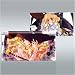 Young Lady Nintendo DSi Skin