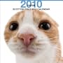 Scottish Fold 2010 Square Wall ARTLIST