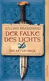 Der Falke des Lichts: Die Artus-Saga