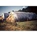 10ft. x 100ft. Silver Gray Waterproof Poly Tech II Hay Bale Tarp