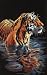 Dimensions Counted Cross Stitch, Tiger Chilling Out