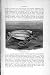Natural History 1896 Leathery Turtle Reptile Old Print
