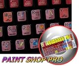 PAINT SHOP PRO KEYBOARD STICKER