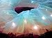 MARYSUN LED TUTU #1 SPARKLING TUTU CHARMING PARTY TUTU NEON TUTU Princess TUTU